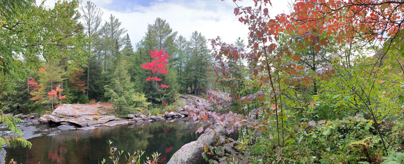 Fall colours at High Falls.